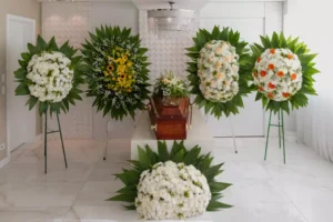 Coroas no Água Verde