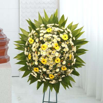 Coroa Citrino